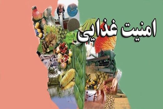 ایران در سال 1411 به خودکفایی در صنعت غذایی می‌رسد