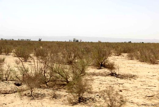 ظرفیت طبیعت‌گردی بیابانی جدی گرفته شود