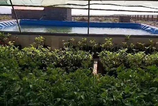 ۲ استخر ذخیره آب روستایی در نایین بهره‌برداری شد