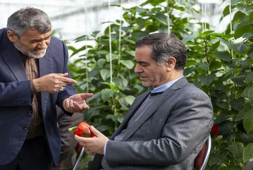 توسعه گلخانه‌ها یکی از محورهای اقتصاد مقاومتی است