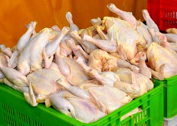 بیش از ۲۵۰ تن گوشت مرغ امروز روانه بازار آذربایجان غربی شد