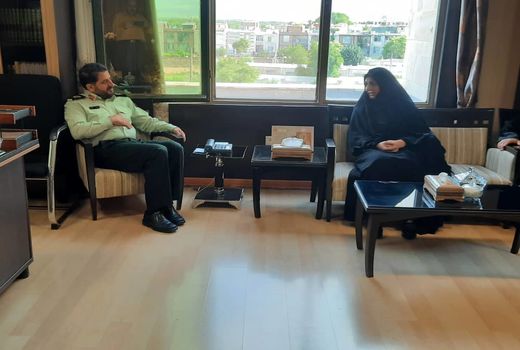 330 هزار تن گندم در اراضی کشاورزی استان قزوین تولید می‌شود