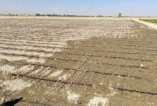 تحقق کشت پاییزه در خوزستان فراتر از انتظار