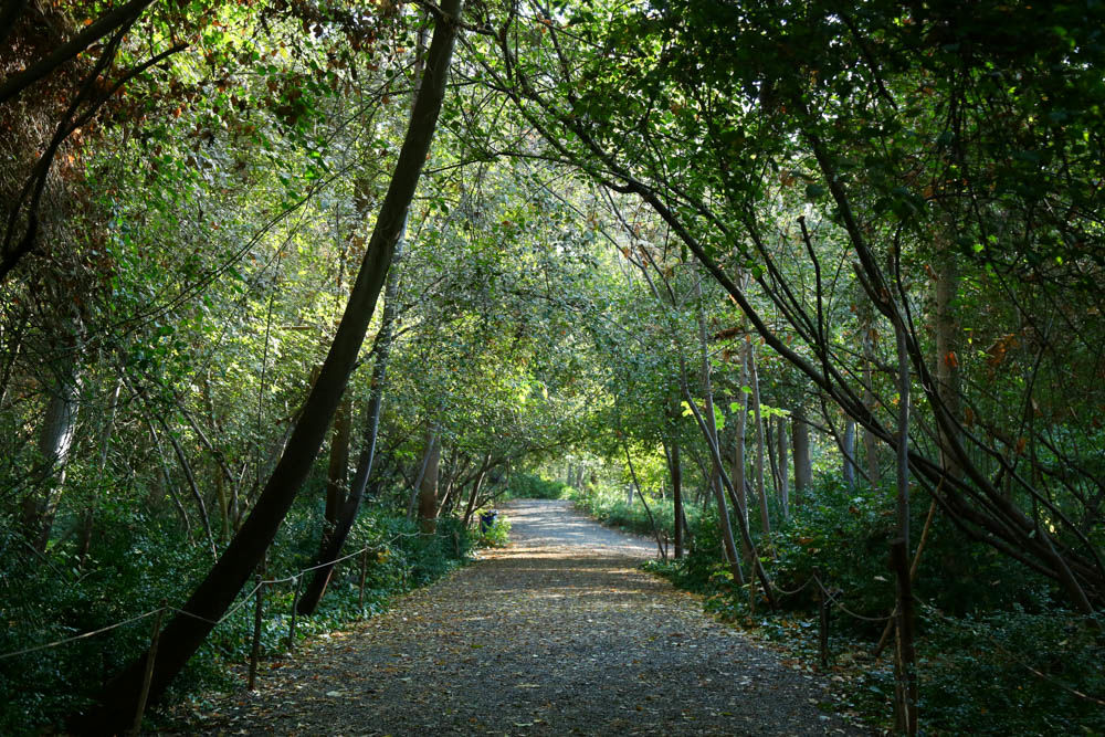 بازدید تور رسانه ای از باغ ملی گیاه شناسی ایران                   