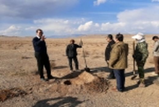 بازدید  مدیر کل منابع طبیعی و آبخیزداری خراسان شمالی از یک پروژه نهالکاری در محدوده پروژه ترسیب کربن