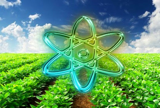 فناوری هسته‌ای در خدمت کشاورزی و امنیت غذایی
