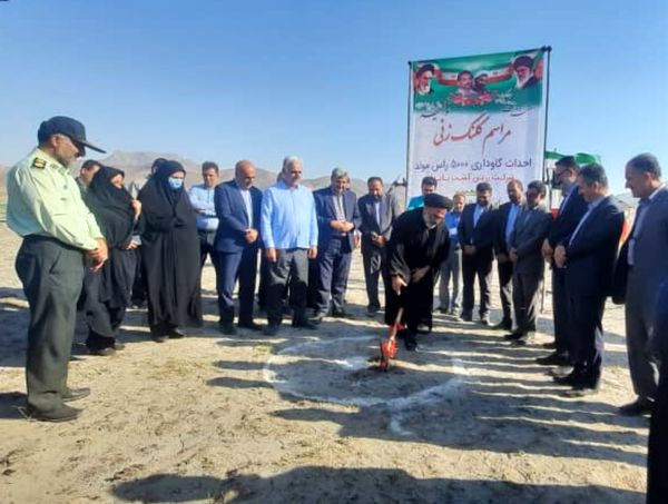 کلنگ احداث گاوداری ۵ هزار راسی مولد نژاد سیمنتال در سلماس به زمین زده شد 