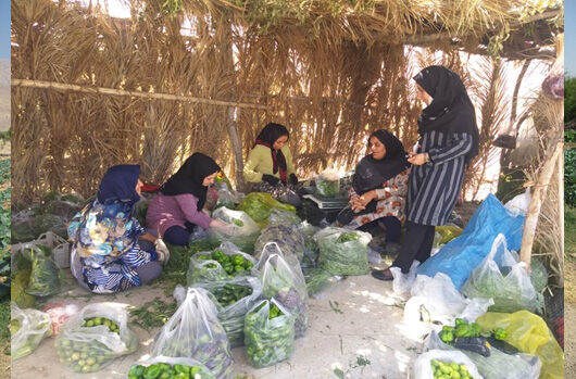 فعالیت 12 صندوق اعتبارات خرد زنان روستایی در داراب