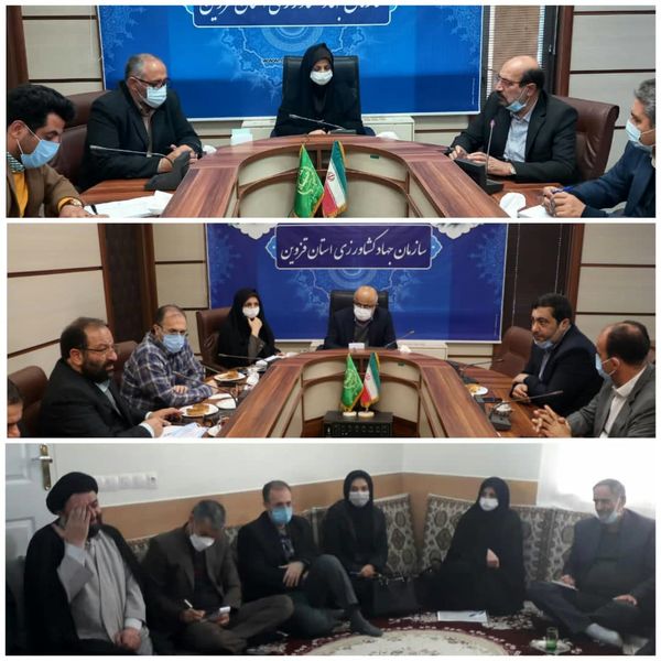 گام‌های بلندی در مسیر رفع مشکلات کشاورزان با همراهی نمایندگان استان در مجلس شورای اسلامی برداشته شده است