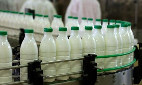 افزایش نرخ لبنیات در راستای فشار تورمی به دامداران