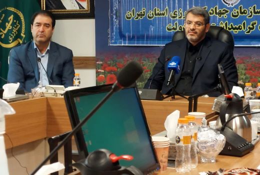 بهره‌برداری از 43 پروژه کشاورزی در هفته دولت