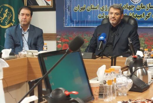 بهره‌برداری از 43 پروژه کشاورزی در هفته دولت
