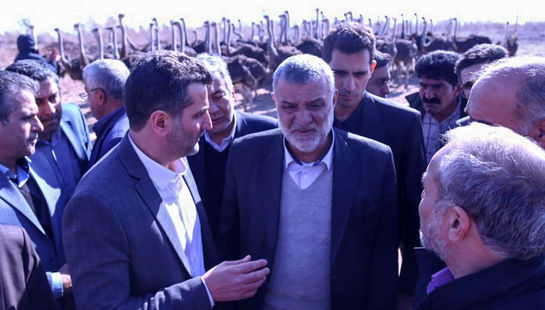سفر وزیر جهادکشاورزی به پاکدشت