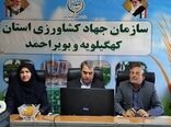 رئیس سازمان جهاد کشاورزی کهگیلویه و بویراحمد: مدیران خانواده در خط مقدم تولیدات کشاورزی
