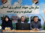 رئیس سازمان جهاد کشاورزی کهگیلویه و بویراحمد: مدیران خانواده در خط مقدم تولیدات کشاورزی
