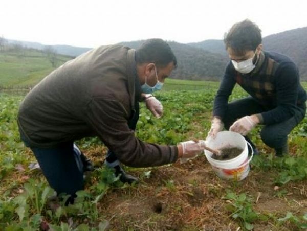 لزوم مبارزه  همگانی با جوندگان مضر در مزارع و باغات استان