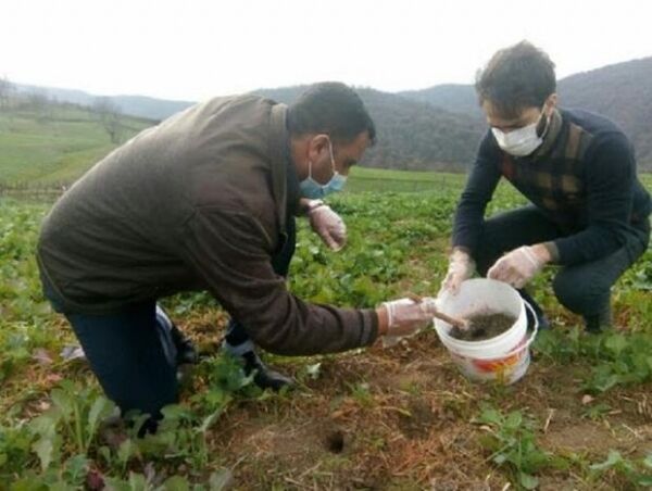 لزوم مبارزه  همگانی با جوندگان مضر در مزارع و باغات استان