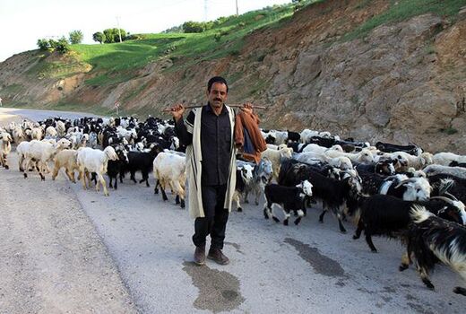 عشایر، فعالان عرصه تولید