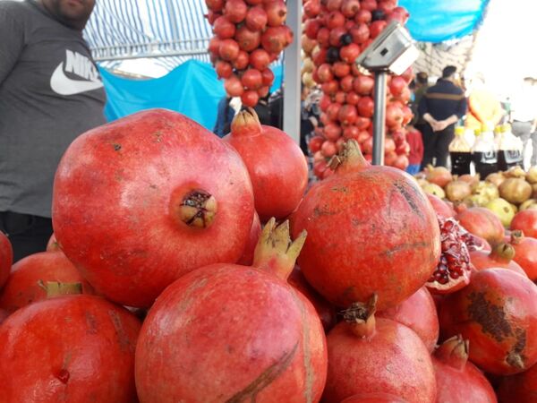 ششمین جشنواره انار فاروق در حال برگزاری است 