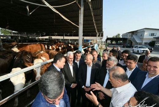بازدید حجتی از طرح‌های کشاورزی و دامداری