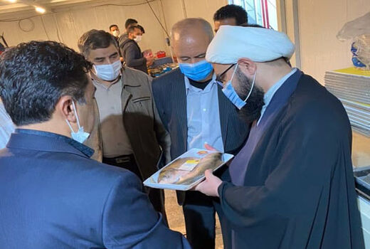 فعالیت سه واحد فرآوری و بسته بندی آبزیان در استان آذربایجان شرقی 