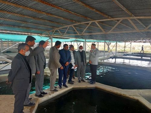 توسعه صادرات خاویار بیضا دنبال شود  