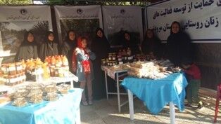 مرودشت صدرنشین توسعه صندوق اعتبارات‌خرد زنان روستایی در فارس