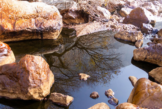 ارزیابی خسارت وارده به بخش کشاورزی زمانبر است