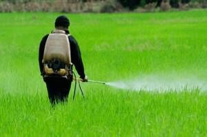 آغاز ثبت سفارش واردات انواع آفت‌کش‌ها برای فصل بهار و تابستان