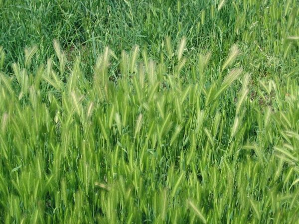 اصلاح سیستم بانکی خواسته همه کشاورزان است