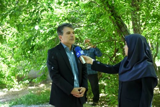 رتبه دوم آذربایجان شرقی در تولید گوجه سبز در کشور