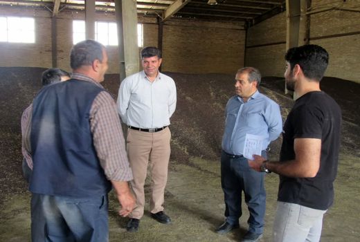 تداوم نظارت و کنترل بر مرکز خرید کلزا