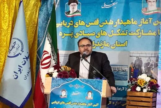 ابلاغ زنجیره ارزش شیلاتی به ۱۰ استان کشور