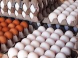 آغاز توزیع تخم مرغ با نرخ مصوب در کشور