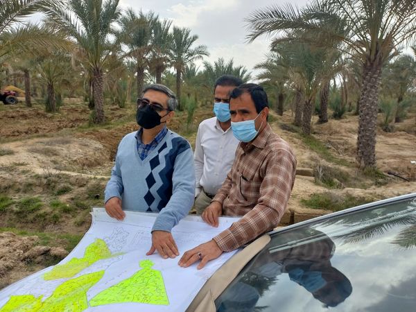 ۱۷ پروژه کشاورزی در استان بوشهر افتتاح و اجرایی می‌شود