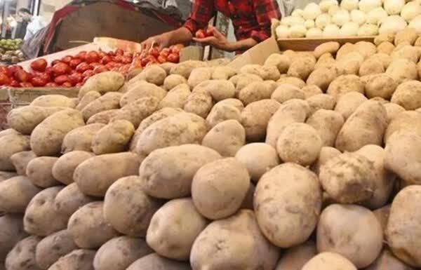 ممنوعیت صادرات سیب‌زمینی پیاز و گوجه‌فرنگی در فارس