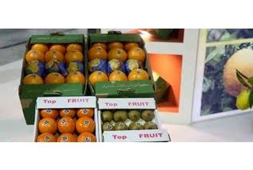 125 هزار تن صادرات کیوی و مرکبات از مبدأ مازندران انجام شد