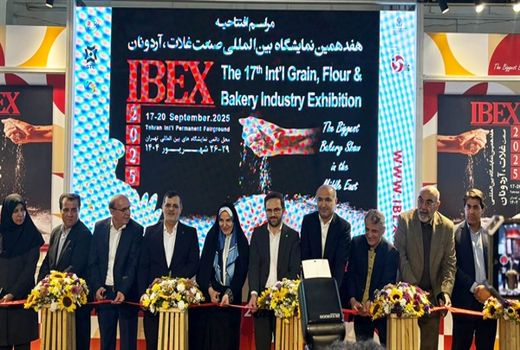  ٦٧ هزار میلیارد ریال تسهیلات برای توسعه زنجیره گندم، آرد و نان پرداخت شد