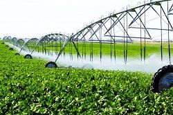 تجهیز ۶ هزار هکتار از اراضی کشاورزی«درهشهر» به سیستمهای نوین آبیاری تحت فشار