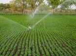 اجرای 906 هکتار آبیاری نوین در استان از ابتدای سال جاری