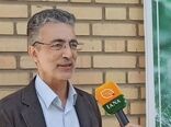 کشت محصولات مقاوم به شوری هنوز برنامه ملی ندارد