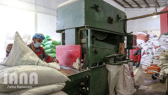 کارخانه بسته بندی مواد غذایی 