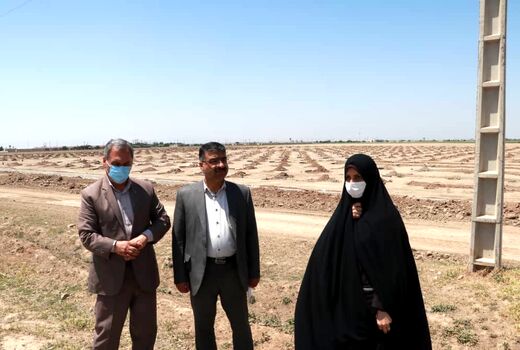 عملیات ساخت فاز نخست گلخانه ۵۰ هکتاری در آبیک آغاز شد
