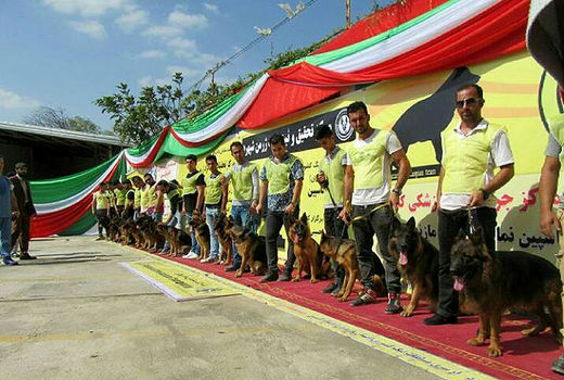 پرورش سگ دلاریاب در کرج