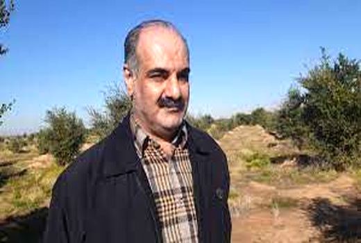 توسعه جنگل‌های مانگرو با اجرای طرح مردمی کاشت یک میلیارد درخت