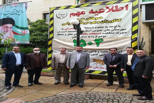 حمله موج جدید ملخ صحرایی به ایران تا 15 روز آینده 