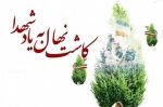 کاشت بیش از 9 هزار نهال در راستای تکریم شهدا و جانبازان چهارمحال و بختیاری
