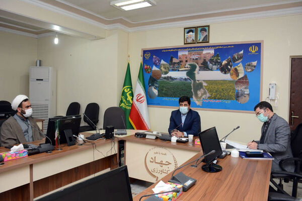 زراعت چوب یکی از بزرگترین طرحهای منابع طبیعی برای حفاظت از جنگلها ومنابع طبیعی است
