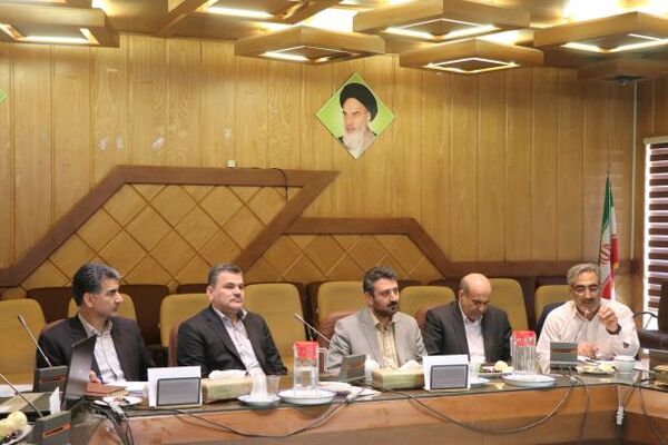 برنامه توسعه کمی و کیفی طیور کشور در استان ها اجرا شود