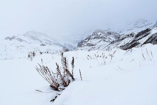 کشاورزان خراسان شمالی از یخ‌آب زمستانه برای کنترل آفات غافل نشوند 